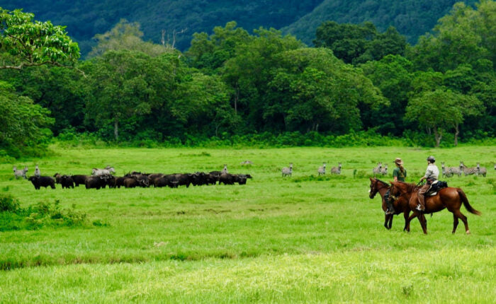 Cabalgata en Tanzania