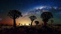 Experiencia Bajo las Estrellas en Namibia