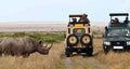 Safari en jeep por la Reserva de Samburu
