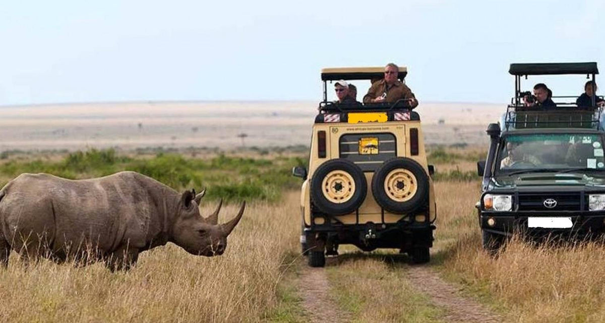 Safari en jeep por la Reserva de Samburu