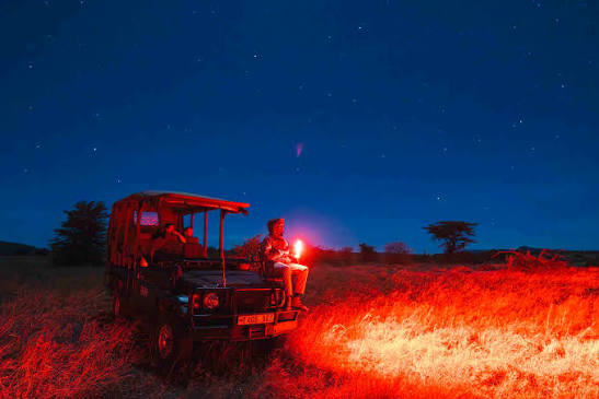 Safari Nocturno en Masai Mara Reserve