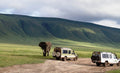 Safari vespertino en el cráter del Ngorongoro