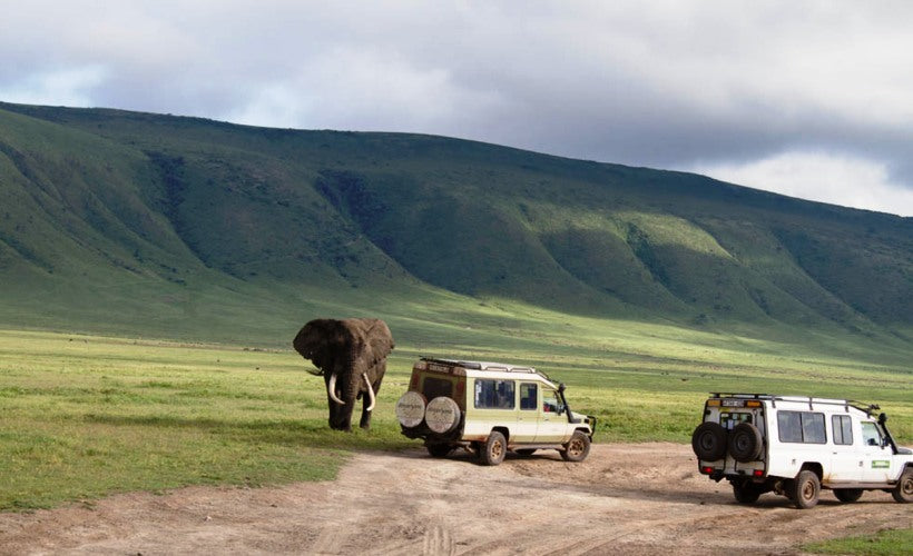 Safari vespertino en el cráter del Ngorongoro